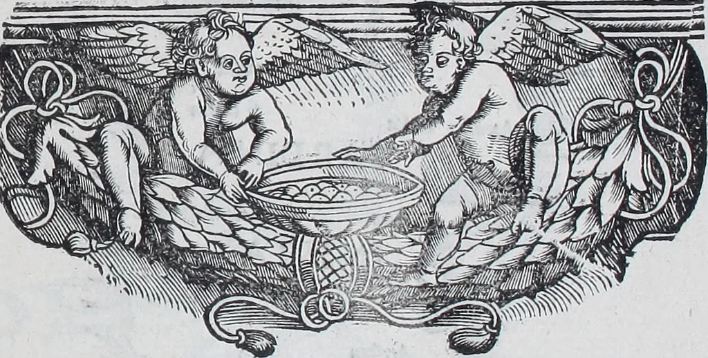 An illustration from Claudii Ptolemaei Geographicae enarrationis libri octo, 1525, leaf 408