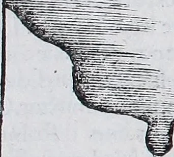 An illustration from Claudii Ptolemaei Geographicae enarrationis libri octo, 1525, leaf 418