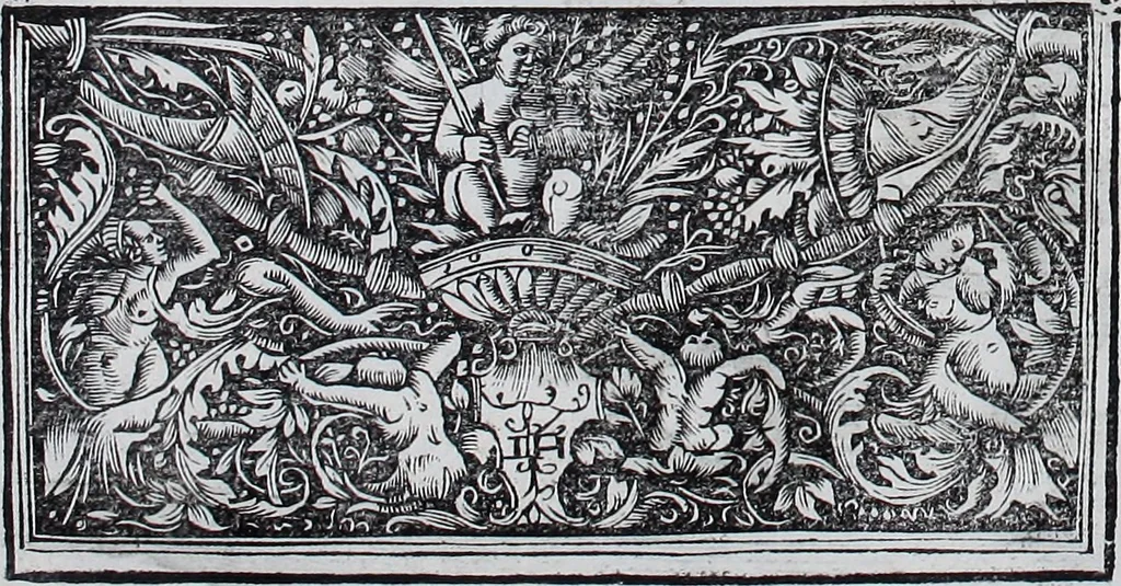An illustration from Claudii Ptolemaei Geographicae enarrationis libri octo, 1525, leaf 419
