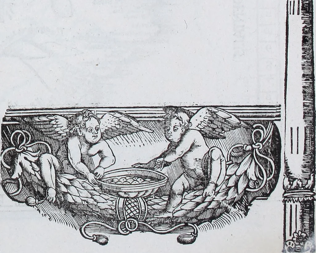 An illustration from Claudii Ptolemaei Geographicae enarrationis libri octo, 1525, leaf 420