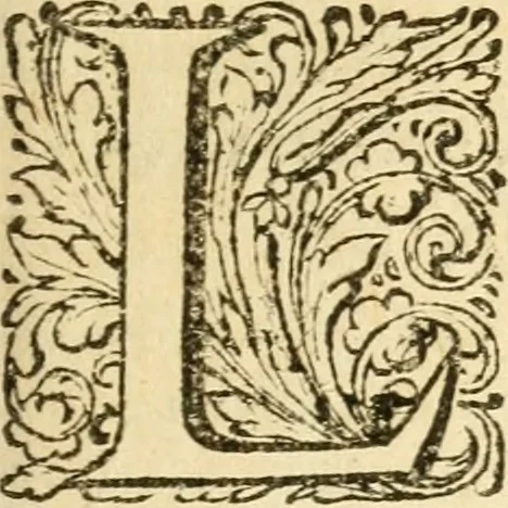 An illustration from Clavis Homerica, sive Lexicon vocabulorum omnium, quæ in Iliade Homeri, nec non potissima Odyssææ parte continentur : accedit brevis appendix de dialectis. Opus primum in Anglia concinnatum, deinde auctum & saepious editum; nunc tandem summo studio correctius recusum, 1662, leaf 8