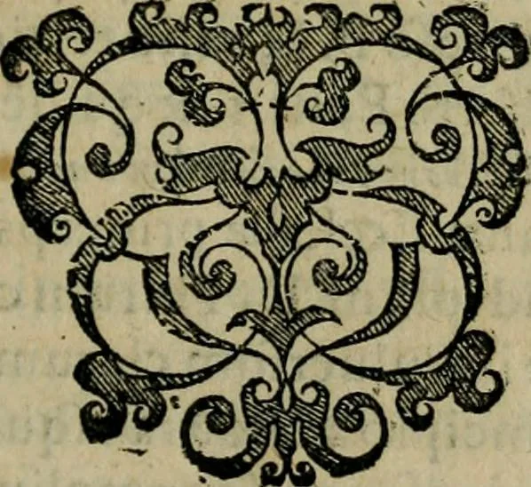An illustration from Cleri totius Romanae ecclesiae subiecti, seu, Pontificiorvm ordinvm omnivm omnino vtrivsqve sexvs, habitvs, artificiosissimis figuris, quibus Francisci Modii singula octosticha adiecta sunt, nunc primùm à Ivdoco Ammanno expressi: neqve vnquam antehac similiter editi. Addito libello singvlari eivsdem Francisci Modij Brug. in quo cuiusque ordinis ecclesiastici origo, progressus & vestitus ratio breuiter ex variis historicis delineatur, 1585, leaf 204