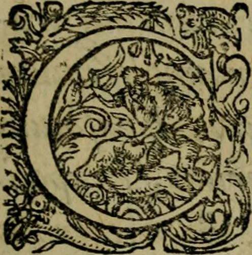 An illustration from Cleri totius Romanae ecclesiae subiecti, seu, Pontificiorvm ordinvm omnivm omnino vtrivsqve sexvs, habitvs, artificiosissimis figuris, quibus Francisci Modii singula octosticha adiecta sunt, nunc primùm à Ivdoco Ammanno expressi: neqve vnquam antehac similiter editi. Addito libello singvlari eivsdem Francisci Modij Brug. in quo cuiusque ordinis ecclesiastici origo, progressus & vestitus ratio breuiter ex variis historicis delineatur, 1585, leaf 8