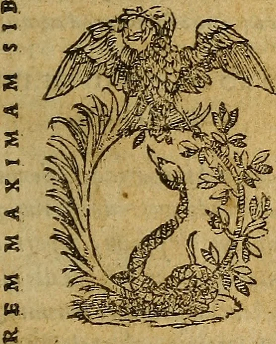 An illustration from Cl. Galeni Pergameni Ars medica, quae et Ars parva dicitur, 1548, leaf 4