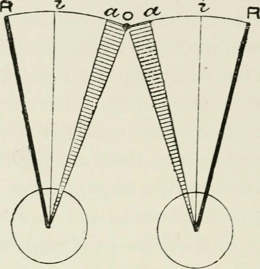 An illustration from The clinical use of prisms; and the decentering of lenses, 1893, leaf 107