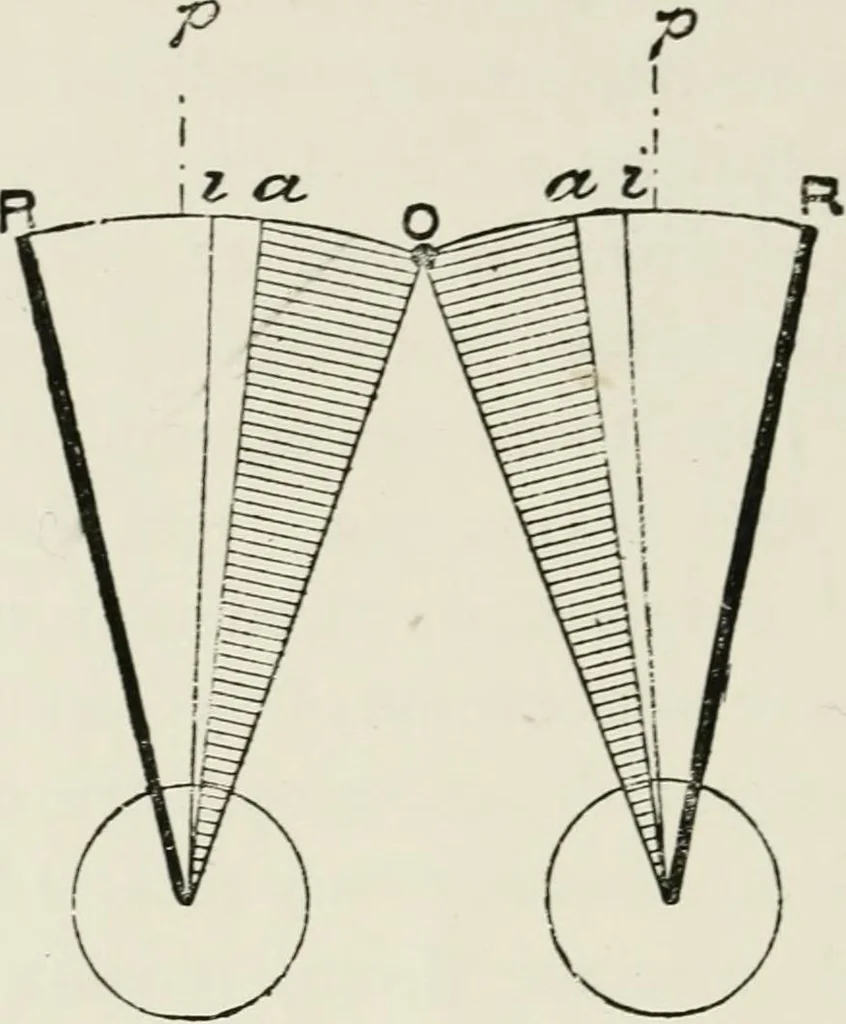 An illustration from The clinical use of prisms; and the decentering of lenses, 1893, leaf 111