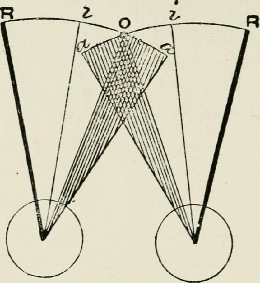 An illustration from The clinical use of prisms; and the decentering of lenses, 1893, leaf 113