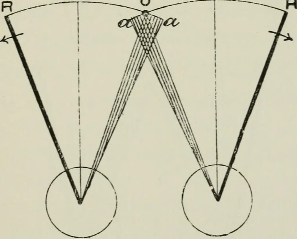 An illustration from The clinical use of prisms; and the decentering of lenses, 1893, leaf 114