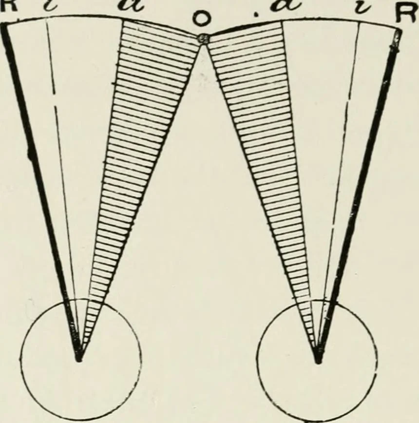 An illustration from The clinical use of prisms; and the decentering of lenses, 1893, leaf 115