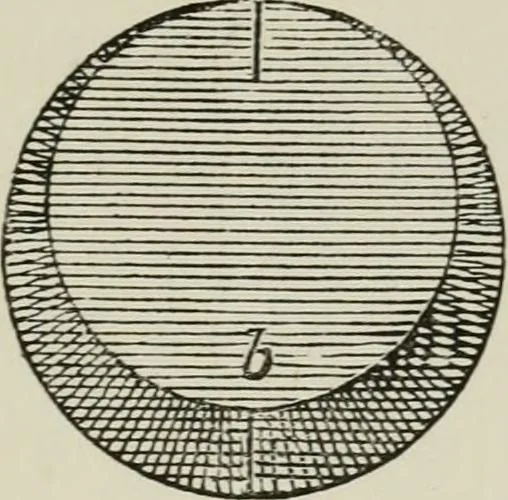 An illustration from The clinical use of prisms; and the decentering of lenses, 1893, leaf 22