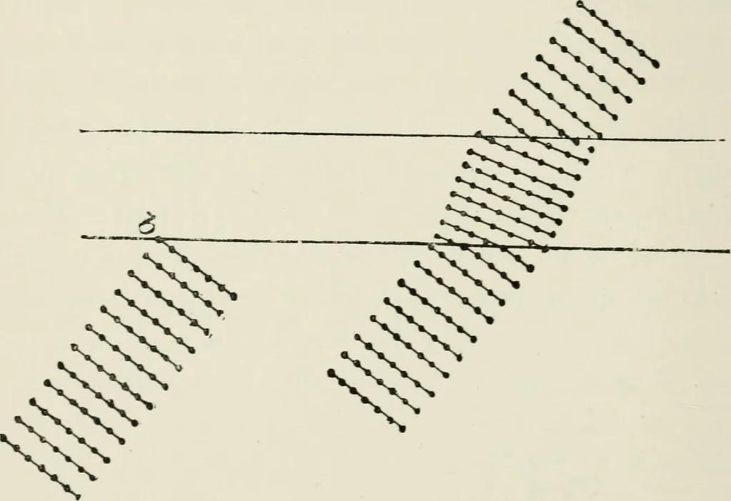 An illustration from The clinical use of prisms; and the decentering of lenses, 1893, leaf 29