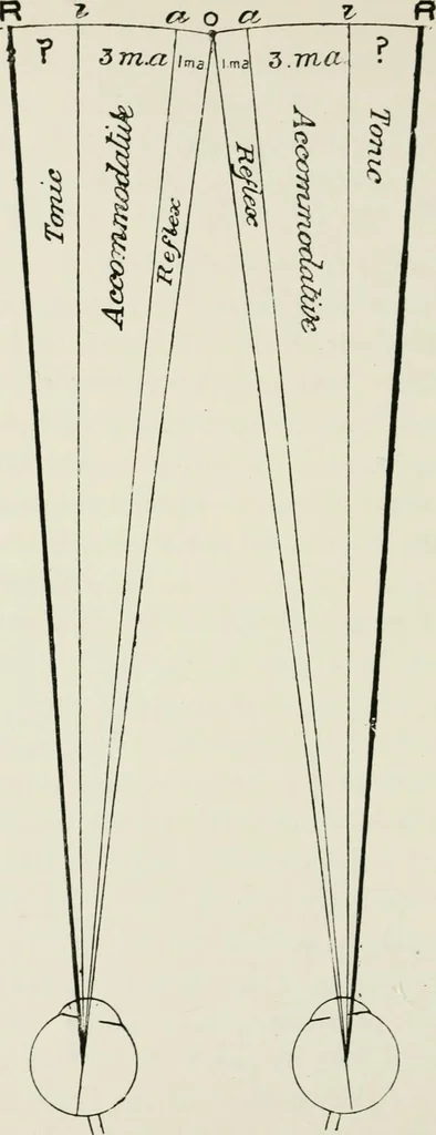 An illustration from The clinical use of prisms; and the decentering of lenses, 1893, leaf 99