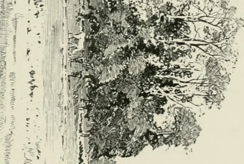 An illustration from Cloister life in the days of Coeur de Lion, 1893, leaf 162