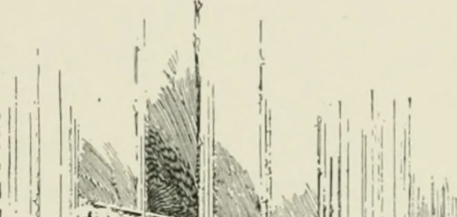 An illustration from Cloister life in the days of Coeur de Lion, 1893, leaf 190