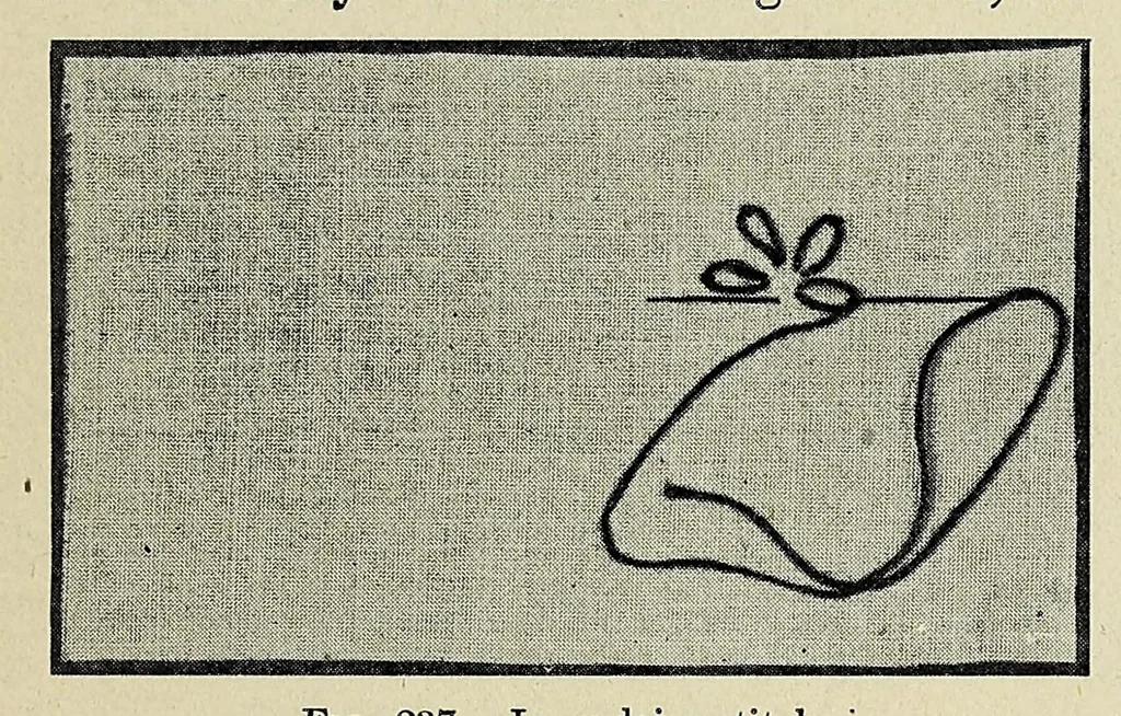 An illustration from Clothing for women : selection, design, construction : a practical manual for school and home, 1916, leaf 441