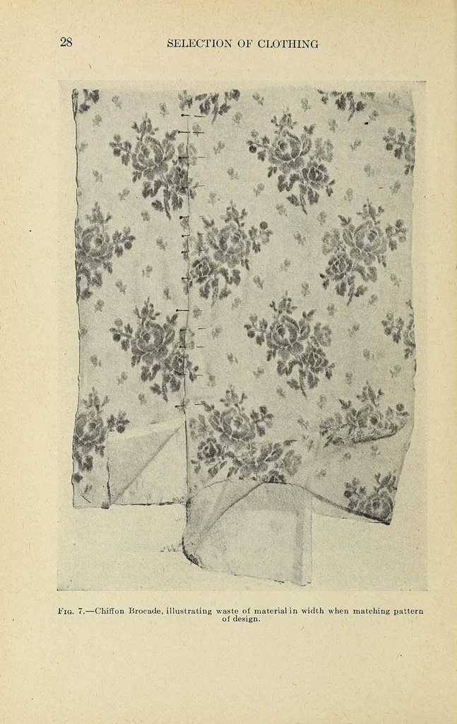 An illustration from Clothing for women : selection, design, construction : a practical manual for school and home, 1916, leaf 48