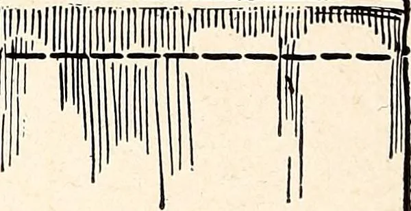 An illustration from Clothing and health, 1916, leaf 101