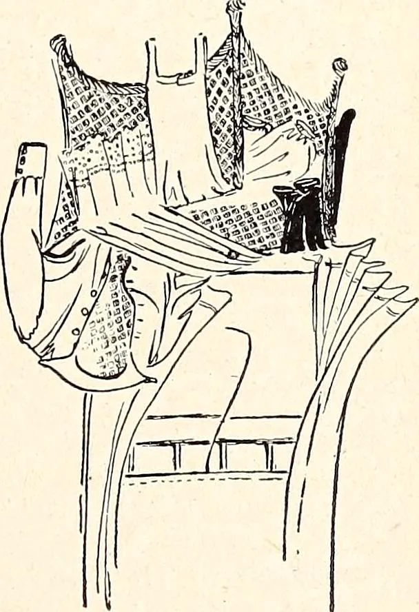 An illustration from Clothing and health, 1916, leaf 103