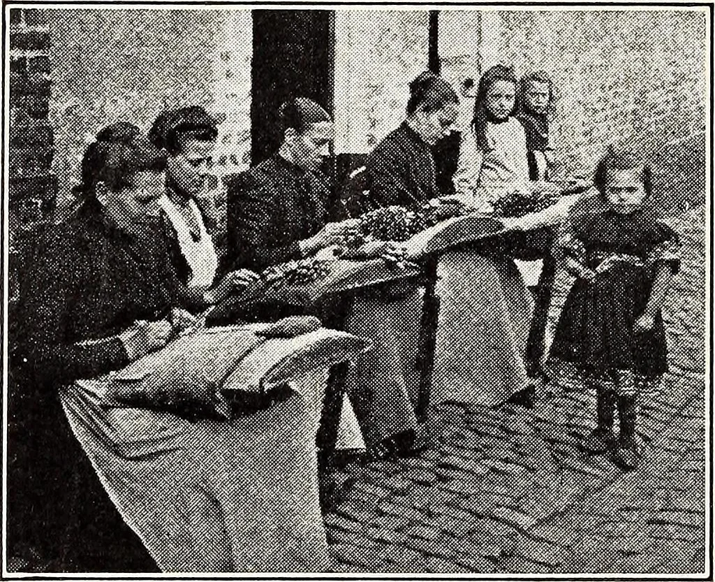 An illustration from Clothing and health, 1916, leaf 109