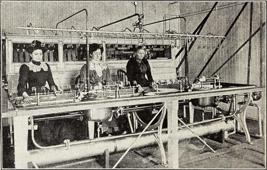 An illustration from Clothing and health, 1916, leaf 127