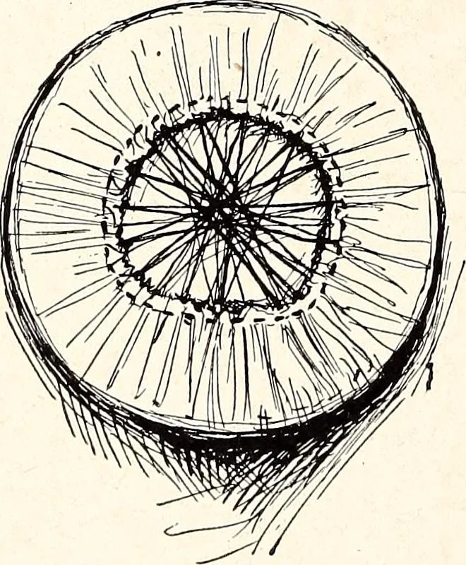 An illustration from Clothing and health, 1916, leaf 129