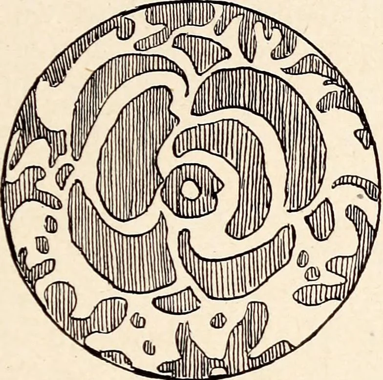 An illustration from Clothing and health, 1916, leaf 130