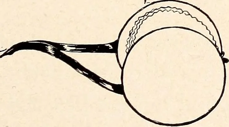 An illustration from Clothing and health, 1916, leaf 130