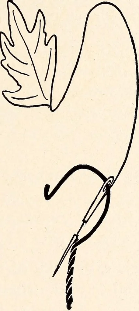 An illustration from Clothing and health, 1916, leaf 134