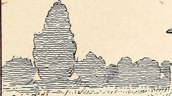 An illustration from Clothing and health, 1916, leaf 14