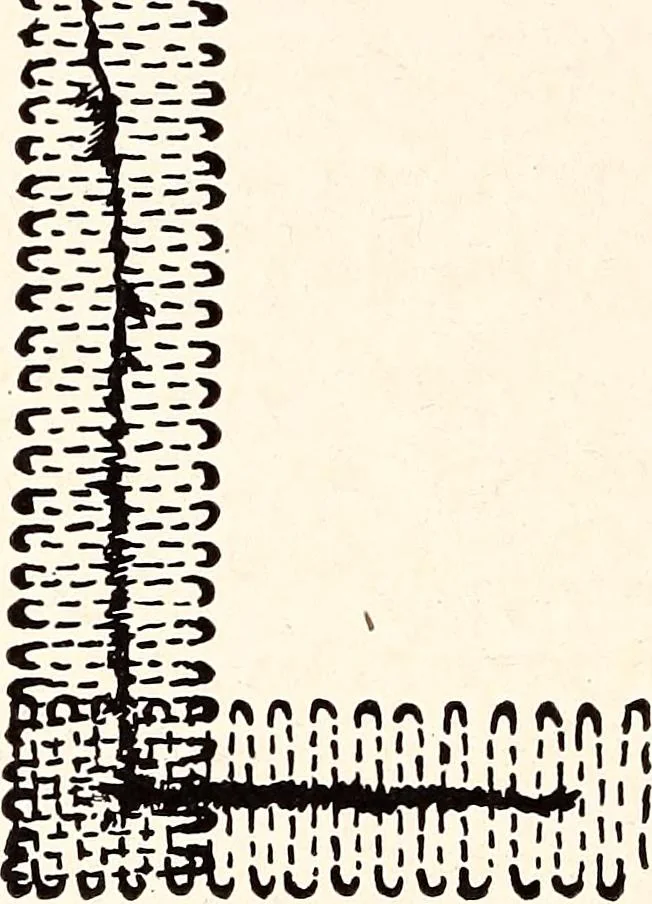 An illustration from Clothing and health, 1916, leaf 177