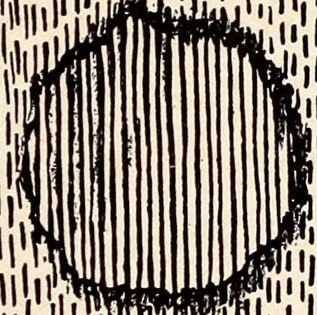 An illustration from Clothing and health, 1916, leaf 182