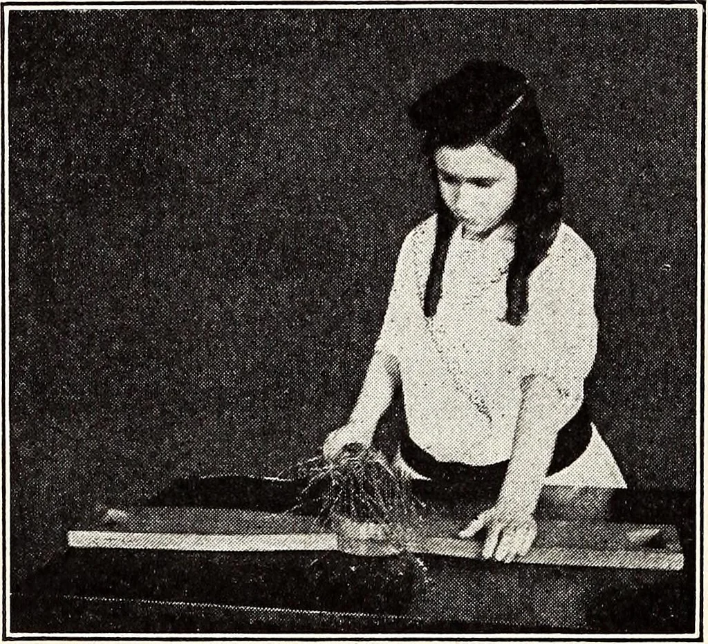 An illustration from Clothing and health, 1916, leaf 191