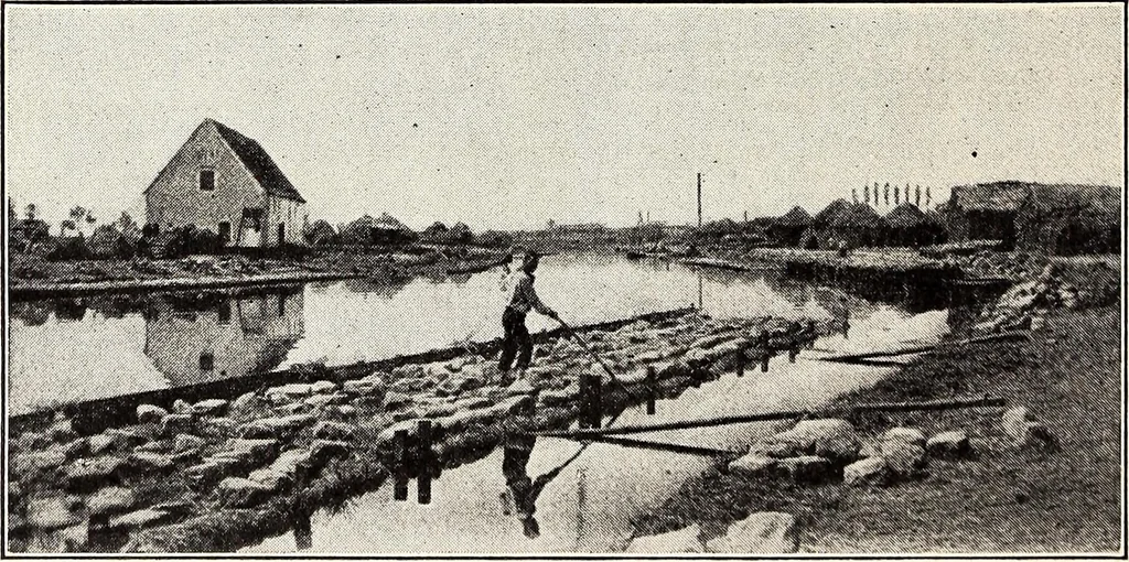 An illustration from Clothing and health, 1916, leaf 191