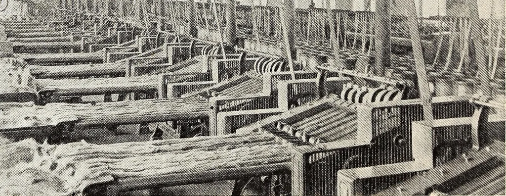 An illustration from Clothing and health, 1916, leaf 207