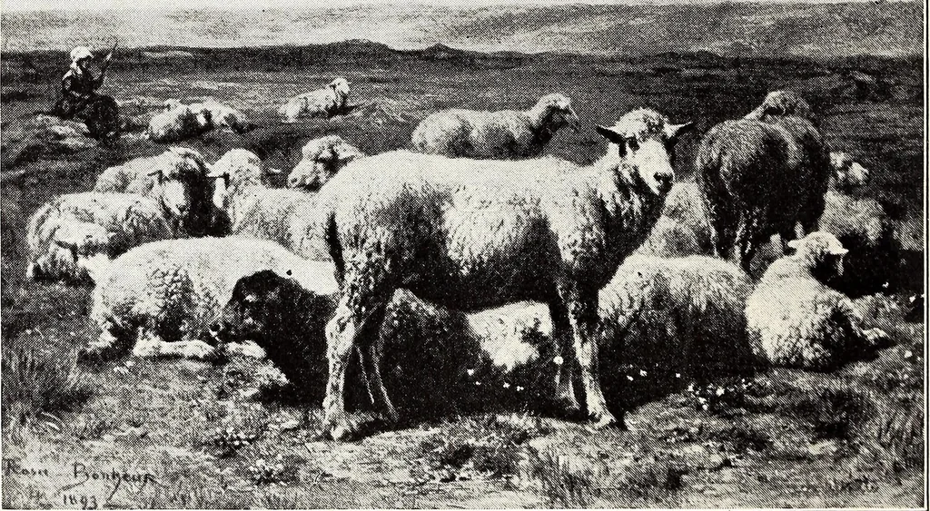 An illustration from Clothing and health, 1916, leaf 217