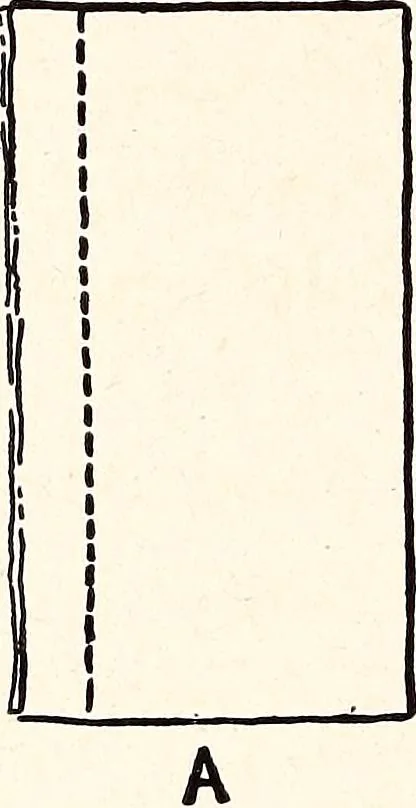 An illustration from Clothing and health, 1916, leaf 229