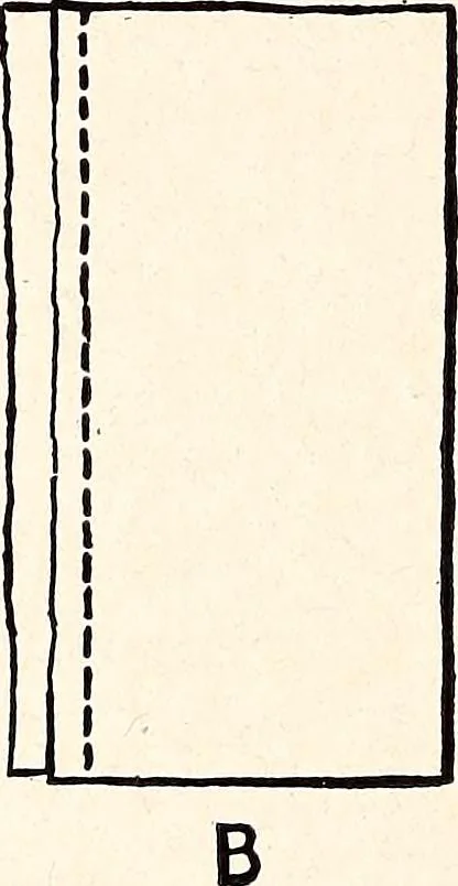 An illustration from Clothing and health, 1916, leaf 229