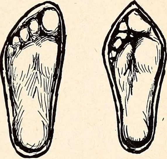 An illustration from Clothing and health, 1916, leaf 254