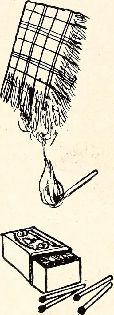 An illustration from Clothing and health, 1916, leaf 293