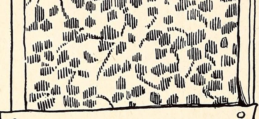 An illustration from Clothing and health, 1916, leaf 295