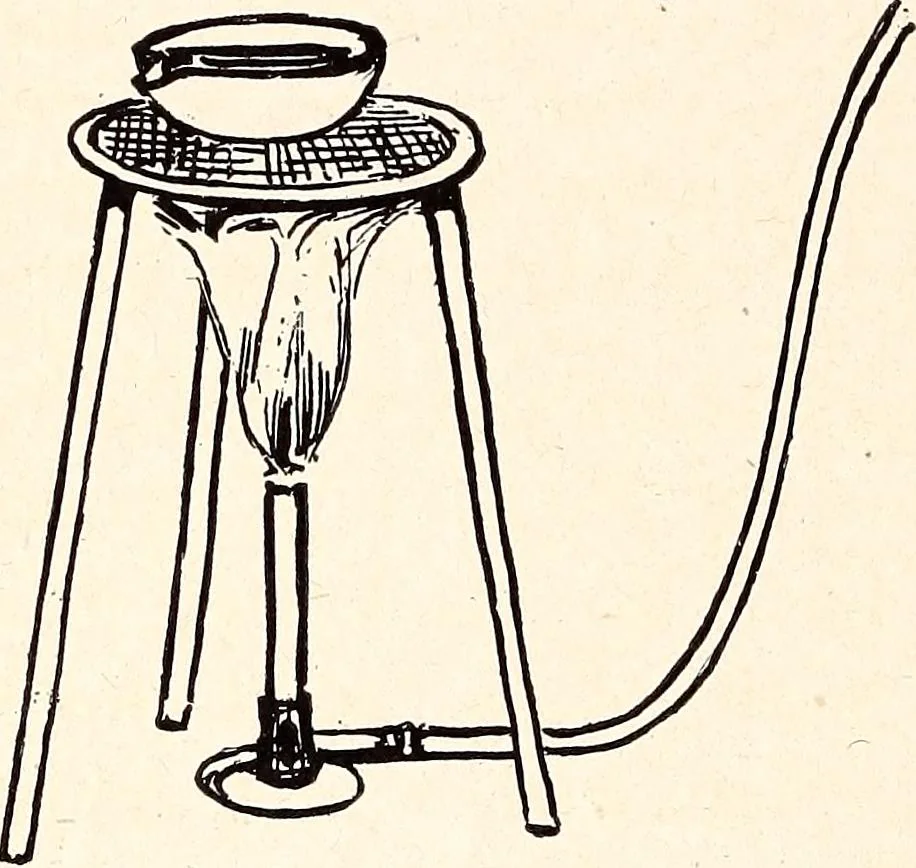 An illustration from Clothing and health, 1916, leaf 297