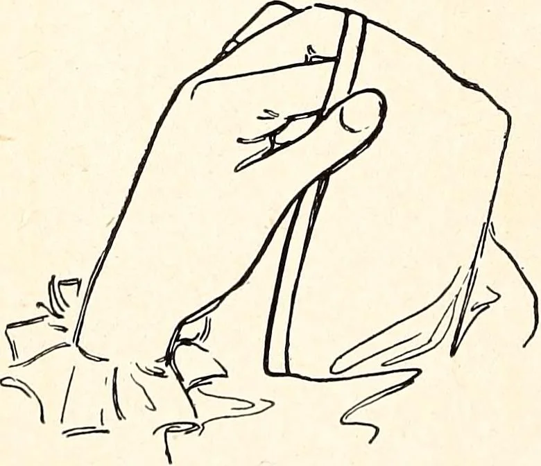 An illustration from Clothing and health, 1916, leaf 33