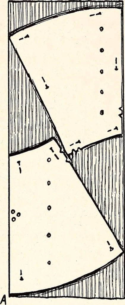 An illustration from Clothing and health, 1916, leaf 61
