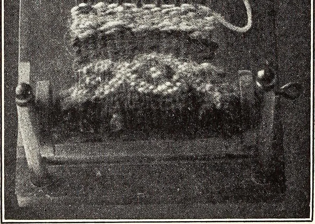 An illustration from Clothing and health, 1916, leaf 79
