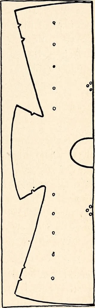 An illustration from Clothing and health, 1916, leaf 92