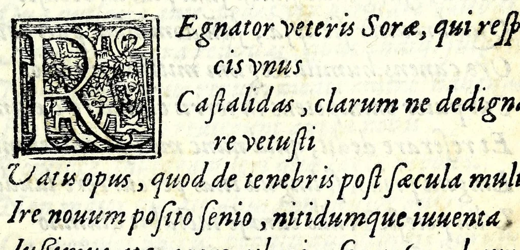 An illustration from Cl. Rvtilii Nvmatiani Galli V .c. Itinerarivm, 1582, leaf 7