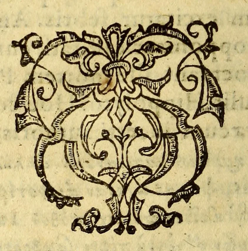 An illustration from Cl. Verderii Peripetasis epigrammatum variorum latius oratione soluta expressorum : : eiusdem Bombycum metamorphosis, ecloga cui titulus Aphtarques, & alia poematia, 1581, leaf 150