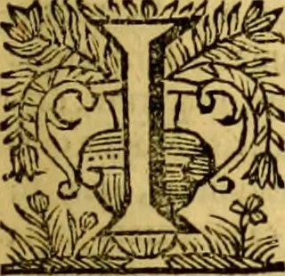 An illustration from Cl. viri Petri Peckii Ziricæi olim in academia lovaniensi iuris professoris, in magno senatu belgico consiliarii : Opera omnia, 1666, leaf 14