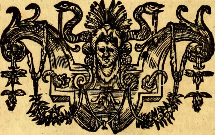 An illustration from Cl. viri Petri Peckii Ziricæi olim in academia lovaniensi iuris professoris, in magno senatu belgico consiliarii : Opera omnia, 1666, leaf 611