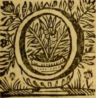 An illustration from Cl. viri Petri Peckii Ziricæi olim in academia lovaniensi iuris professoris, in magno senatu belgico consiliarii : Opera omnia, 1666, leaf 702